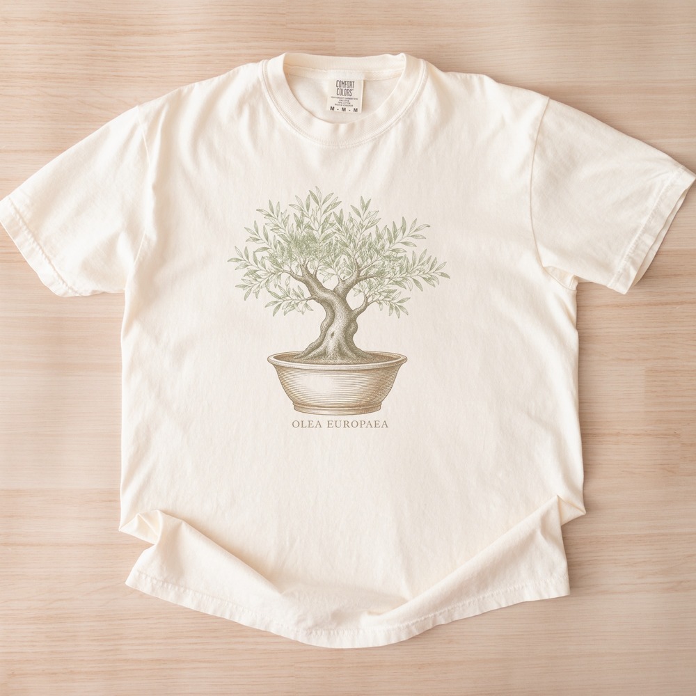 Olea Europaea Gnarled Olive Tree in Ceramic Pot Tee